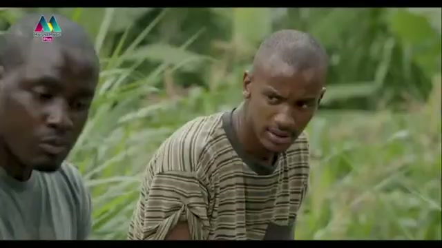 Episode 5